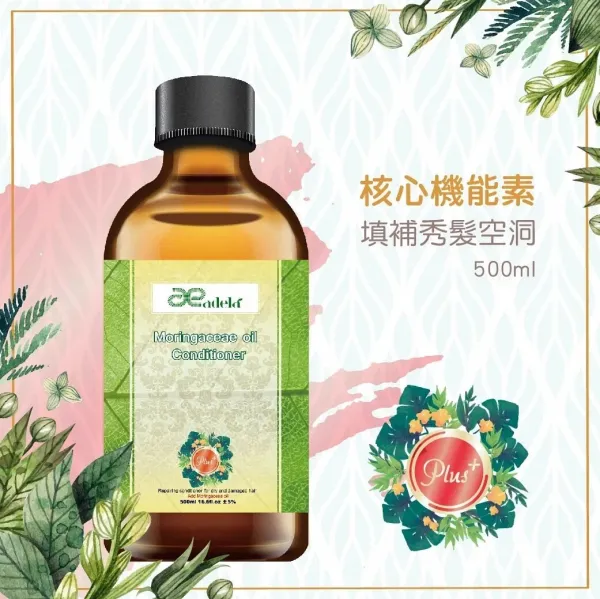 GS核心機能護髮素500ml